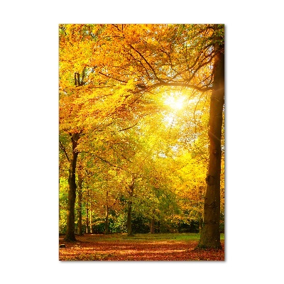 Wall art on glass Forest in autumn