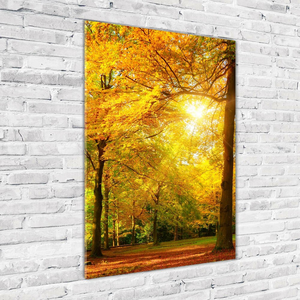 Wall art on glass Forest in autumn