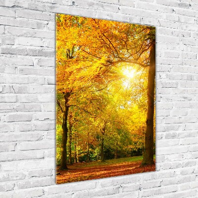 Wall art on glass Forest in autumn