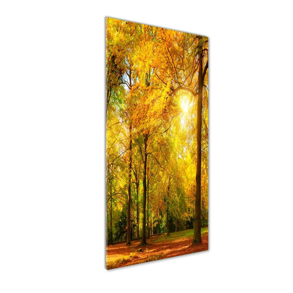 Wall art on glass Forest in autumn