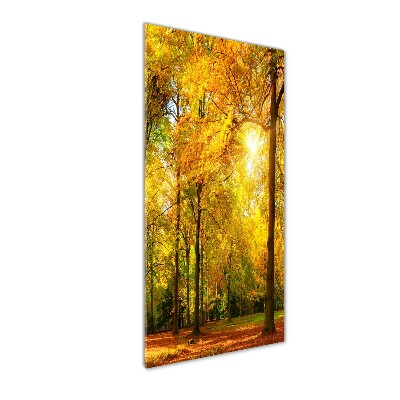 Wall art on glass Forest in autumn