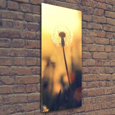 Glass picture wall art Dandelion