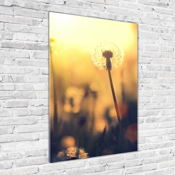 Glass picture wall art Dandelion