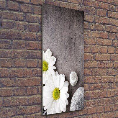 Printed glass wall art Gerber