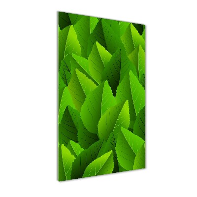 Wall art on glass Green leaves