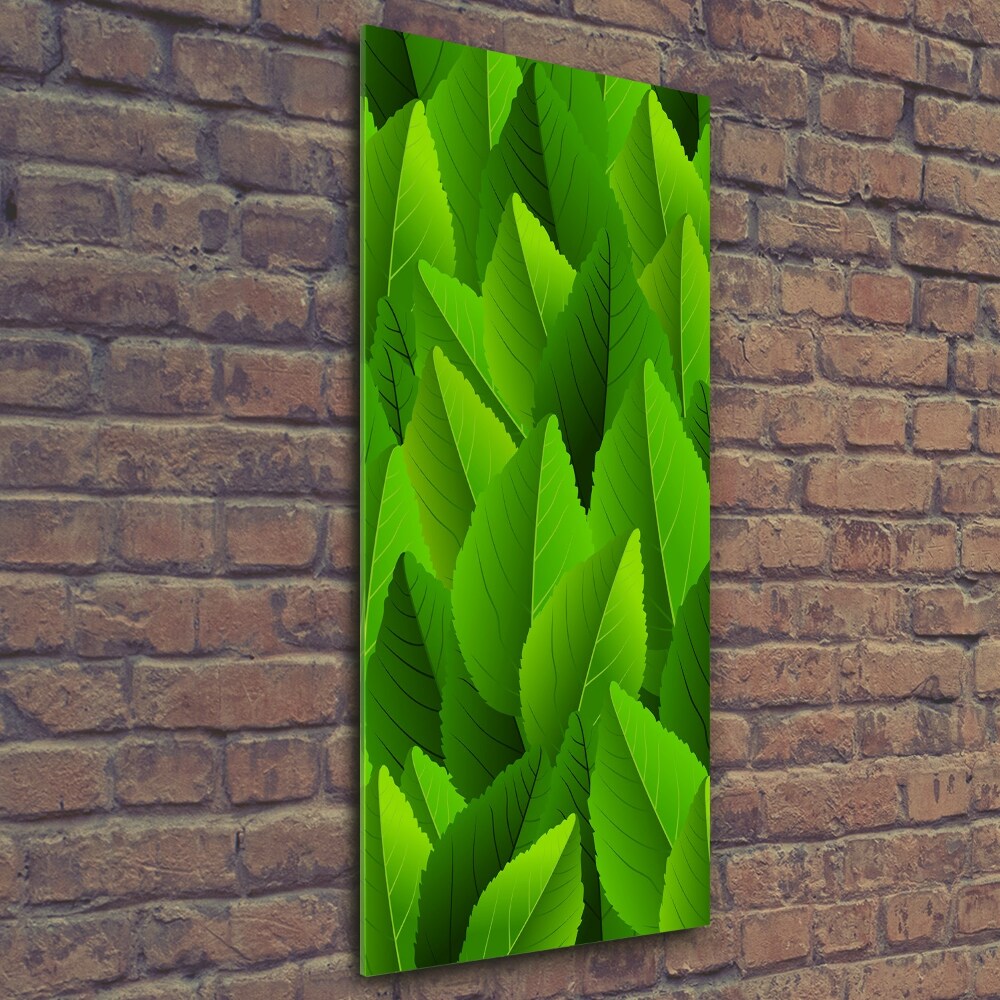 Wall art on glass Green leaves