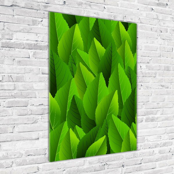 Wall art on glass Green leaves