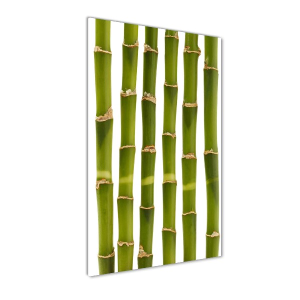 Wall art on glass Bamboo