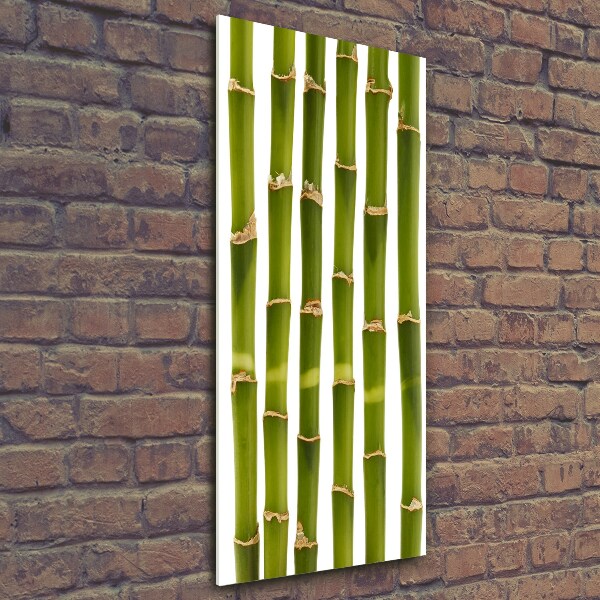 Wall art on glass Bamboo