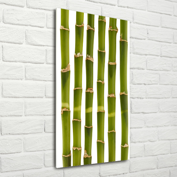 Wall art on glass Bamboo