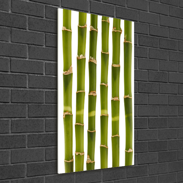 Wall art on glass Bamboo