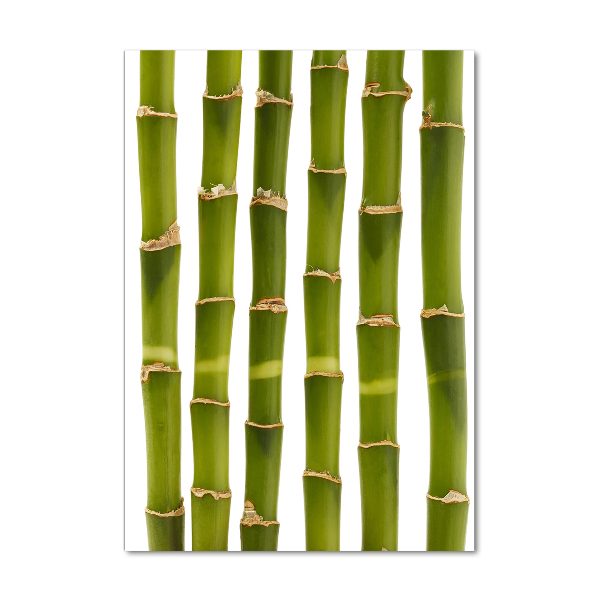 Wall art on glass Bamboo