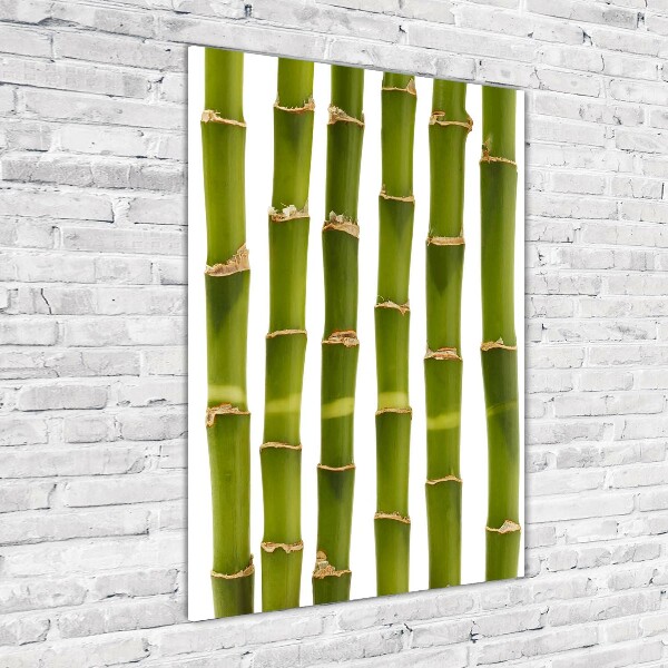 Wall art on glass Bamboo