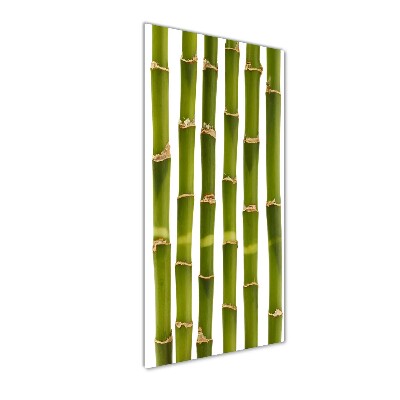 Wall art on glass Bamboo