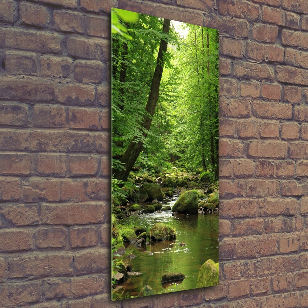 Wall art on glass River in the forest