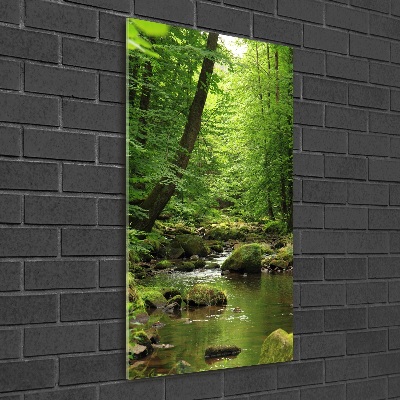 Wall art on glass River in the forest