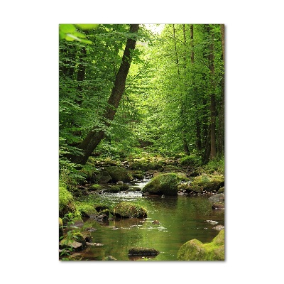 Wall art on glass River in the forest