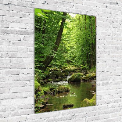 Wall art on glass River in the forest