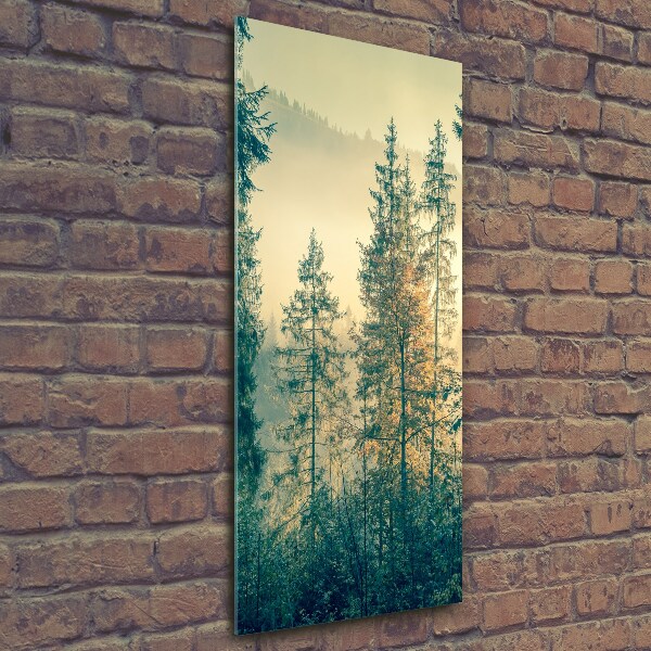 Wall art on glass Fog over the forest