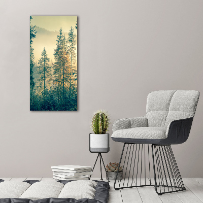 Wall art on glass Fog over the forest