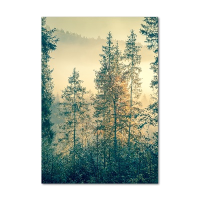 Wall art on glass Fog over the forest