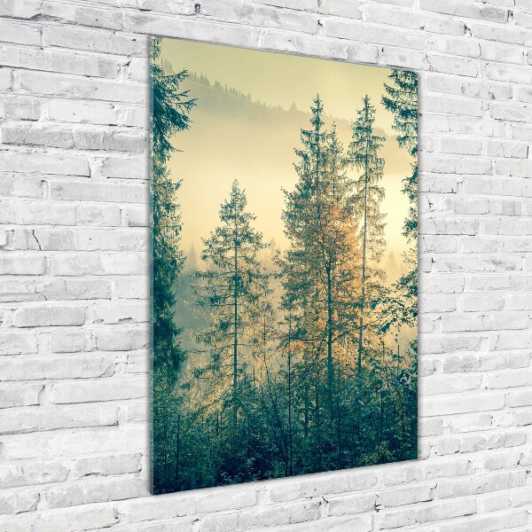 Wall art on glass Fog over the forest