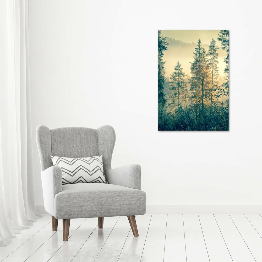 Wall art on glass Fog over the forest