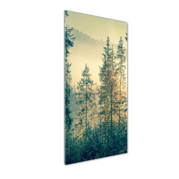 Wall art on glass Fog over the forest