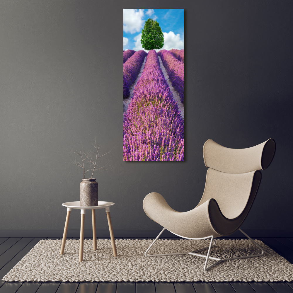 Wall art on glass Lavender field