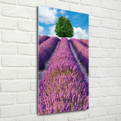 Wall art on glass Lavender field