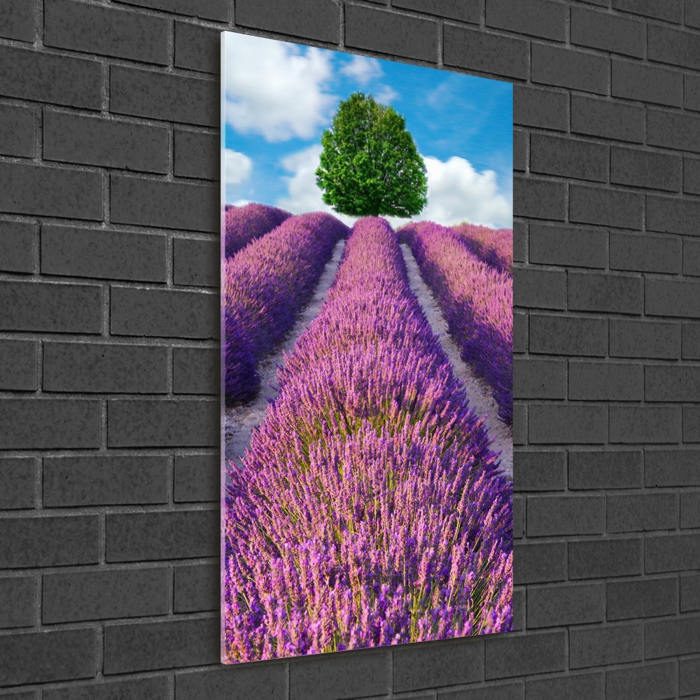 Wall art on glass Lavender field