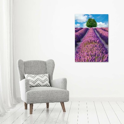 Wall art on glass Lavender field