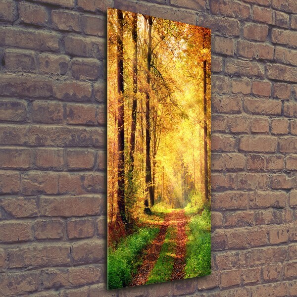 Wall art on glass Forest in autumn