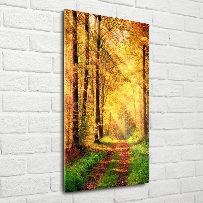 Wall art on glass Forest in autumn