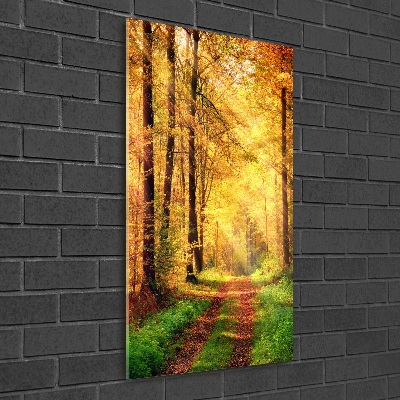 Wall art on glass Forest in autumn