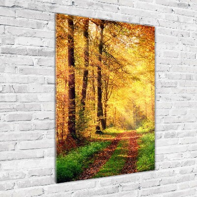 Wall art on glass Forest in autumn