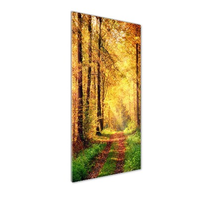 Wall art on glass Forest in autumn