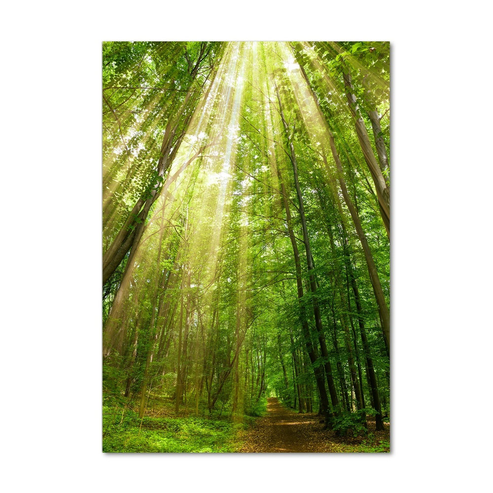 Glass wall art Path in the forest