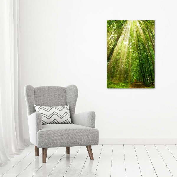 Glass wall art Path in the forest