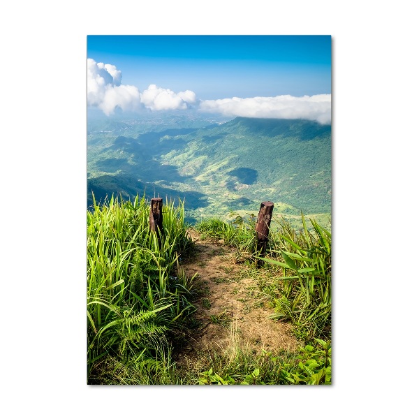 Wall art on glass Mountain trail