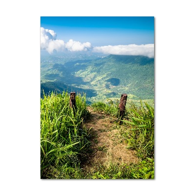 Wall art on glass Mountain trail