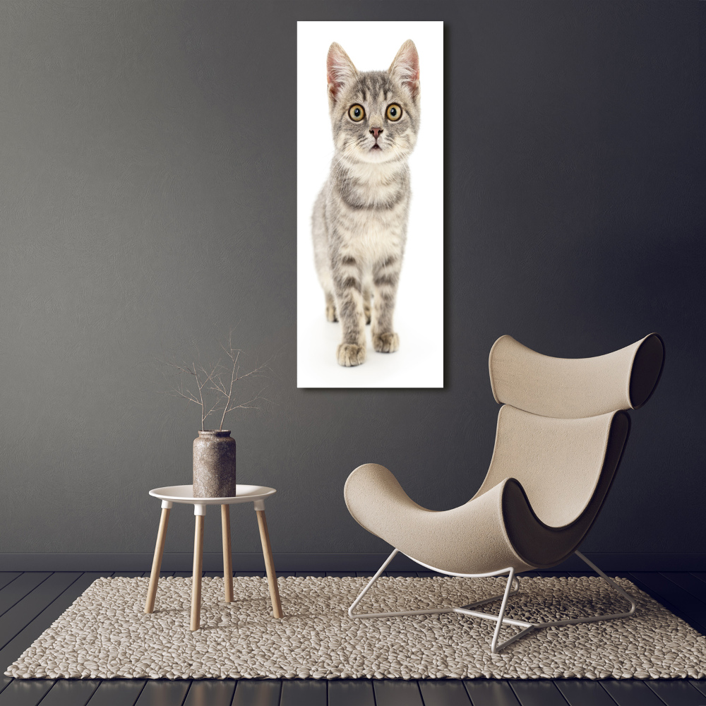 Wall art on glass Gray cat