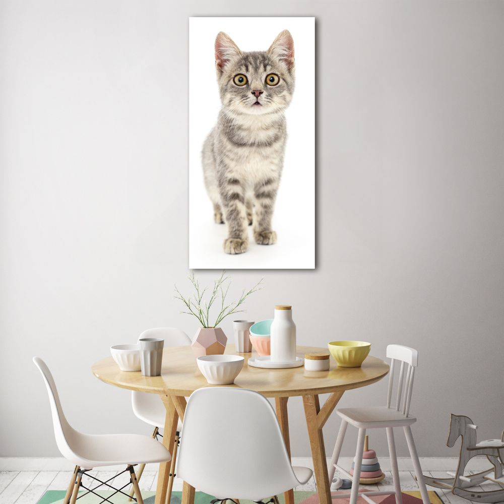 Wall art on glass Gray cat