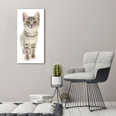 Wall art on glass Gray cat