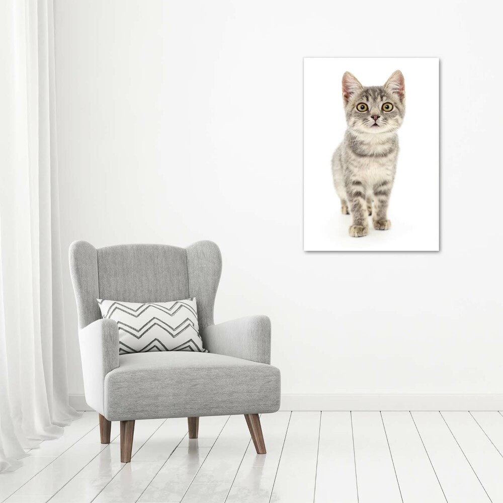 Wall art on glass Gray cat