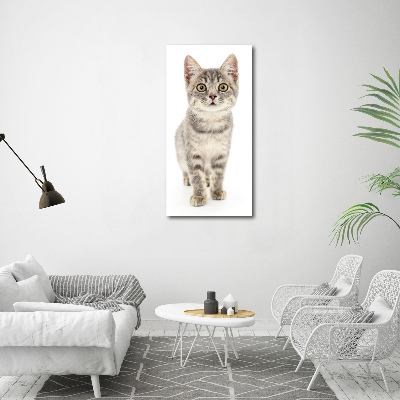 Wall art on glass Gray cat