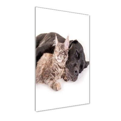 Print on a a glass Dog and cat