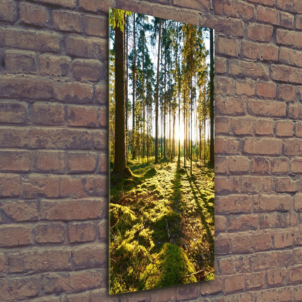 Wall art on glass a pine forest