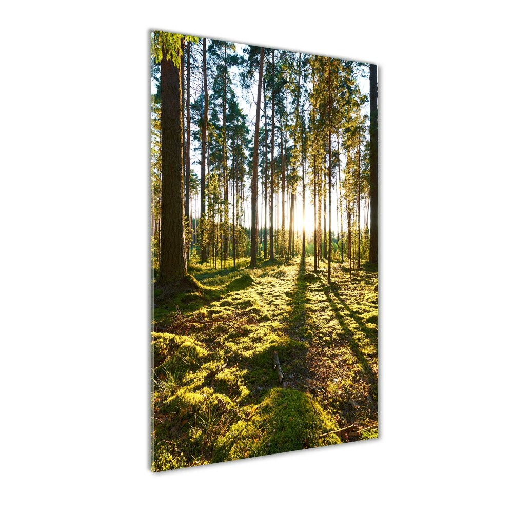 Wall art on glass a pine forest