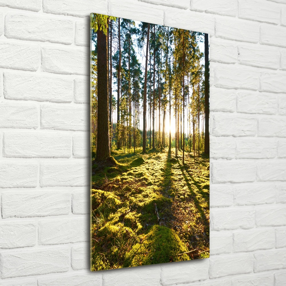 Wall art on glass a pine forest